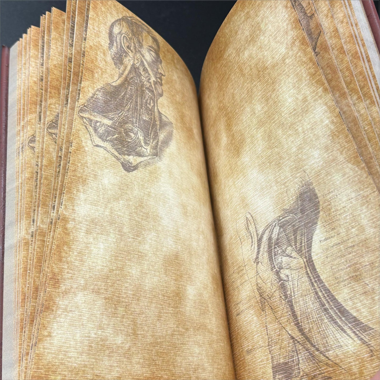 Penny Dreadful Frankenstein Sketchbook Deluxe Journal